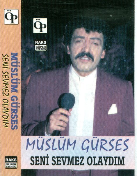 seni svemez olaydım.jpg