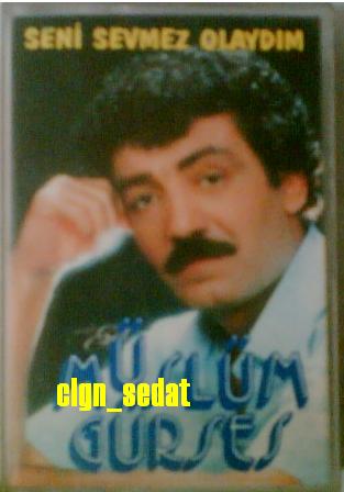 sevmez olaydım.JPG