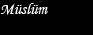 Muslumcu.com, Muslumcu.net, Muslum-Gurses.com