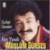 agiryarali.jpg